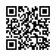 QR Code (код быстрого отклика)