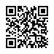 QR Code (код быстрого отклика)