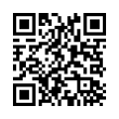 QR Code (код быстрого отклика)