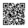 QR Code (код быстрого отклика)