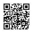 QR Code (код быстрого отклика)