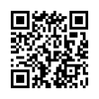 QR Code (код быстрого отклика)