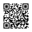 QR Code (код быстрого отклика)