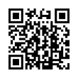 QR Code (код быстрого отклика)