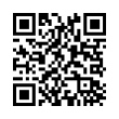 QR Code (код быстрого отклика)