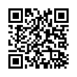 QR Code (код быстрого отклика)