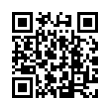 QR Code (код быстрого отклика)