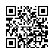 QR Code (код быстрого отклика)