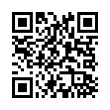 QR Code (код быстрого отклика)