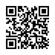 QR Code (код быстрого отклика)