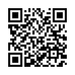 QR Code (код быстрого отклика)