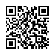 QR Code (код быстрого отклика)