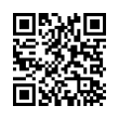 QR Code (код быстрого отклика)