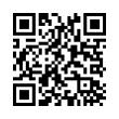 QR Code (код быстрого отклика)