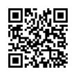 QR Code (код быстрого отклика)