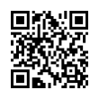 QR Code (код быстрого отклика)