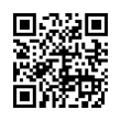 QR Code (код быстрого отклика)