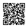 QR Code (код быстрого отклика)