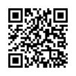 QR Code (код быстрого отклика)