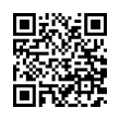 QR Code (код быстрого отклика)