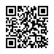 QR Code (код быстрого отклика)