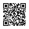 QR Code (код быстрого отклика)