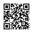 QR Code (код быстрого отклика)