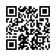 QR Code (код быстрого отклика)