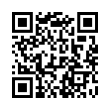 QR Code (код быстрого отклика)