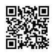 QR Code (код быстрого отклика)